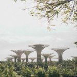 How to Choose the Best Online Casino in Singapore