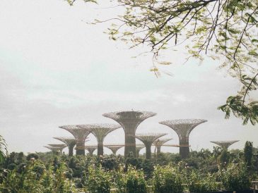 Take a Break from Busy Singapore Life