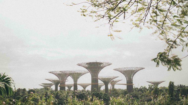 Take a Break from Busy Singapore Life